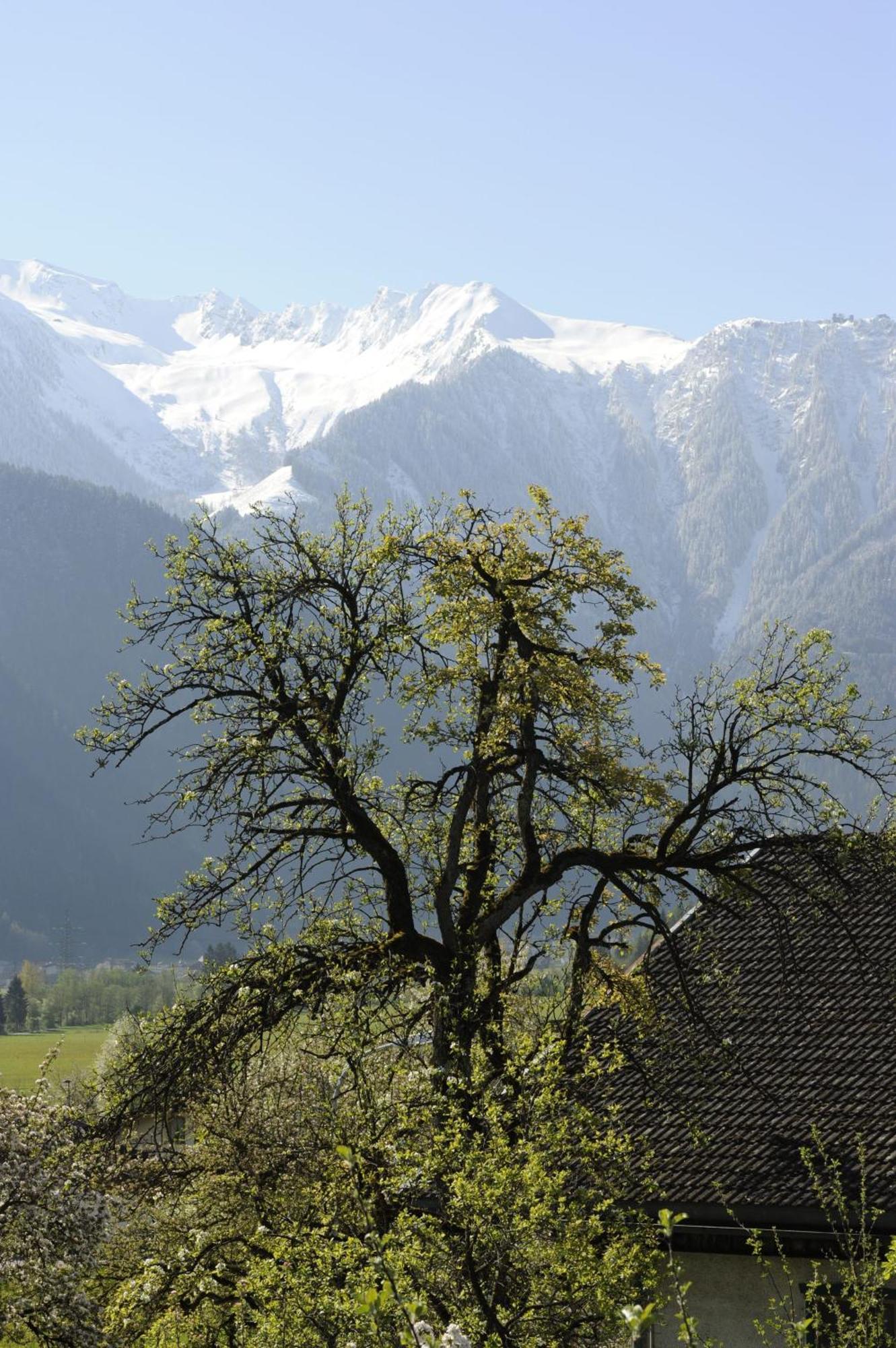 Oberstockachhof Appartement Schwendau Buitenkant foto